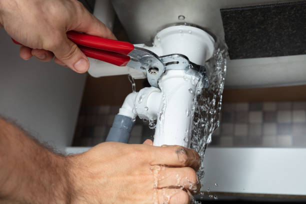 Best Water damage cleanup near me  in East Palatka, FL