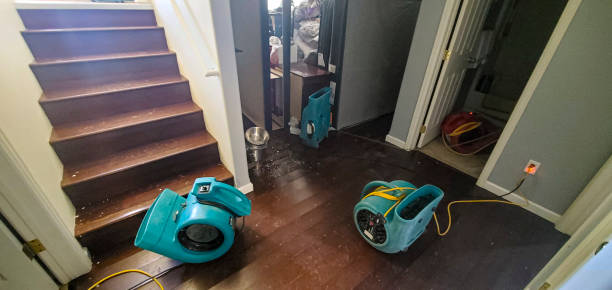 Best Sewage cleanup and water damage restoration  in East Palatka, FL