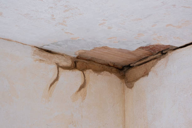 Best Water damage restoration near me  in East Palatka, FL