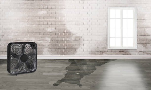 Local water damage restoration in FL