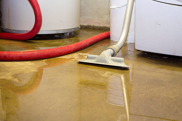 Best Residential water damage restoration  in East Palatka, FL