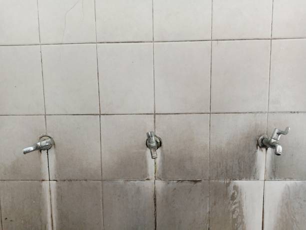 Best Commercial water damage restoration  in East Palatka, FL