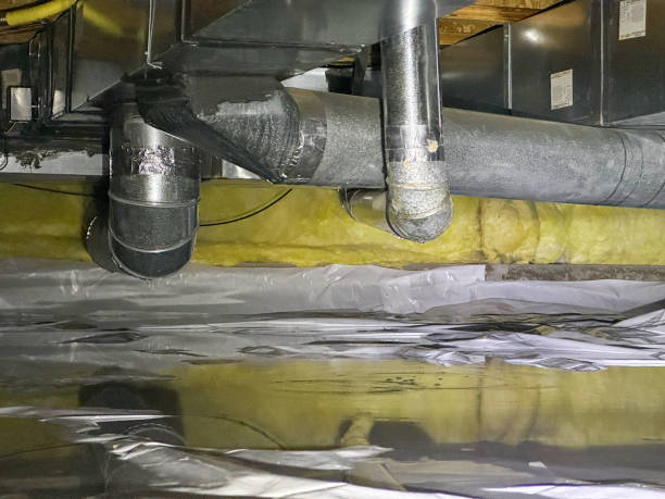 Best Mold removal after water damage  in East Palatka, FL