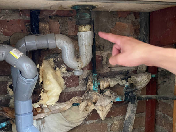 Best Flood damage cleanup  in East Palatka, FL